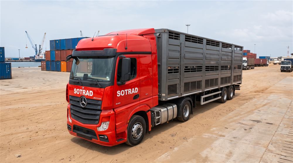 Bétaillère SOTRAD pour le transport de bétail